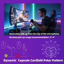 Professional RGB Dynamic Microphone  USB-C and XLR